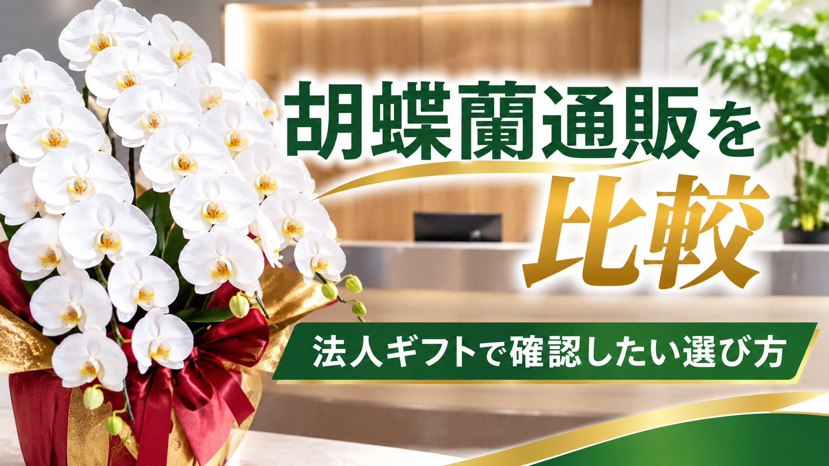 胡蝶蘭通販を比較|法人ギフトで確認したい料金・ラッピング・サービスの違い